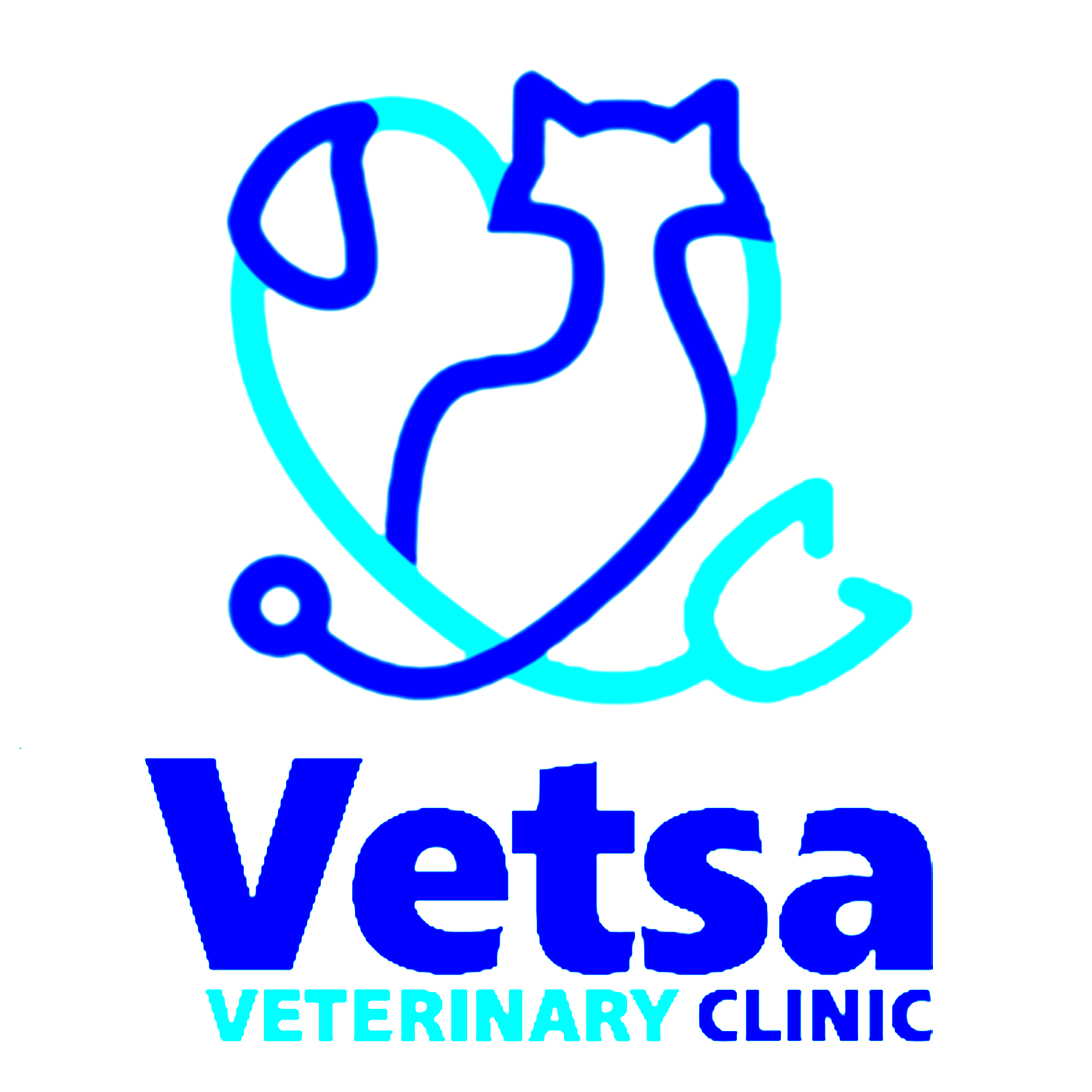 Vetsa Clinic